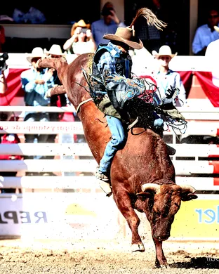 Calgary Stampede Rodeo
