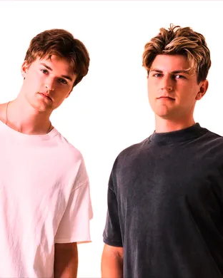 Twinsick